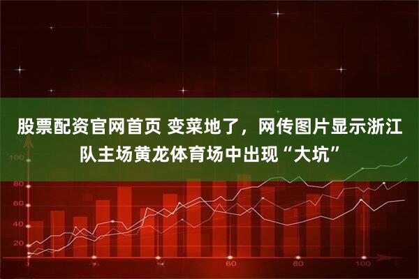股票配资官网首页 变菜地了，网传图片显示浙江队主场黄龙体育场中出现“大坑”